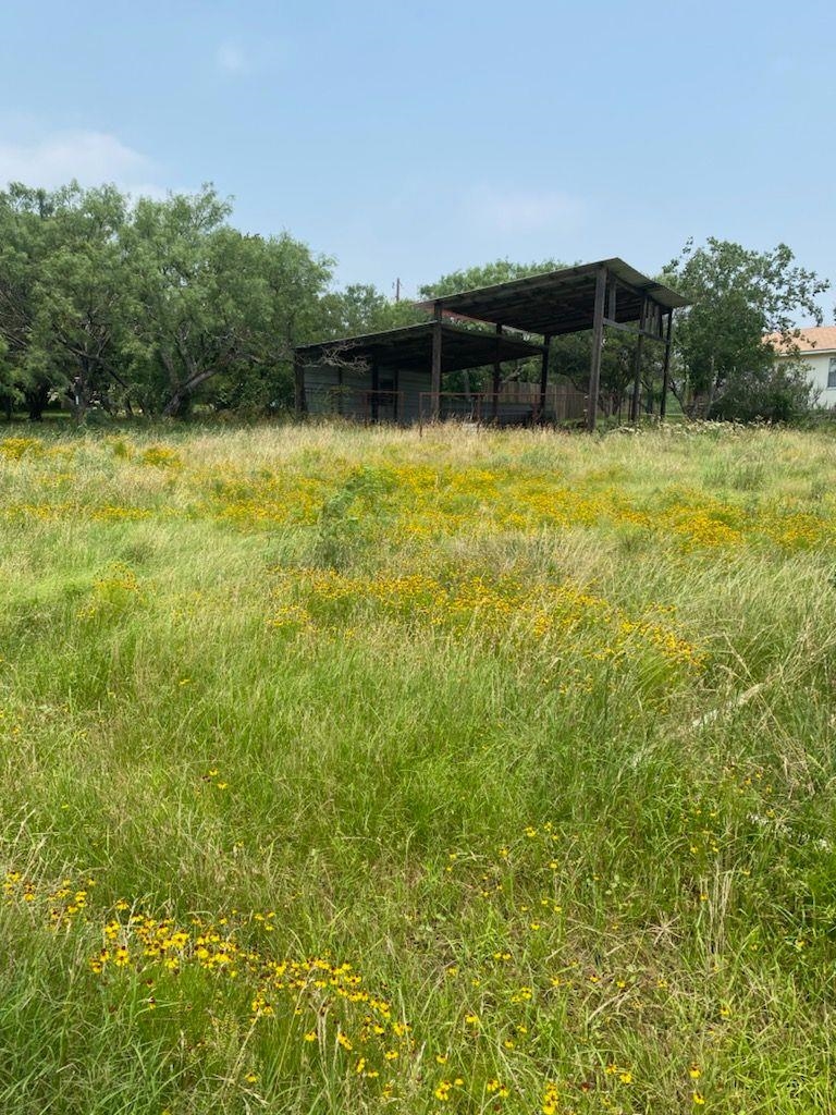 00 Odessa Lane Tow TX 78672