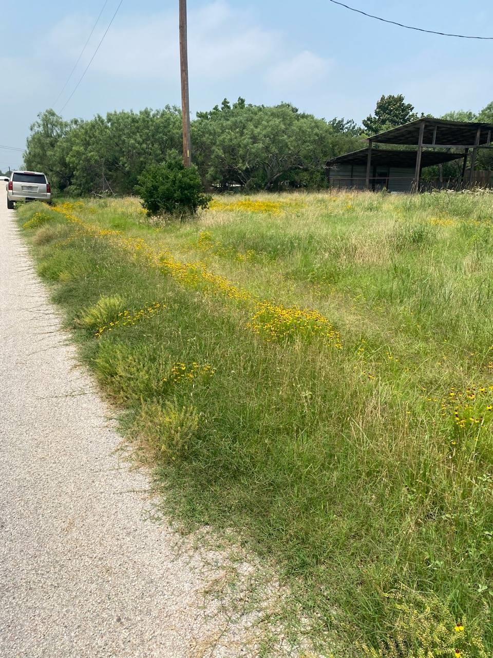 00 Odessa Lane Tow TX 78672