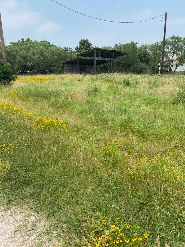00 Odessa Lane Tow TX 78672