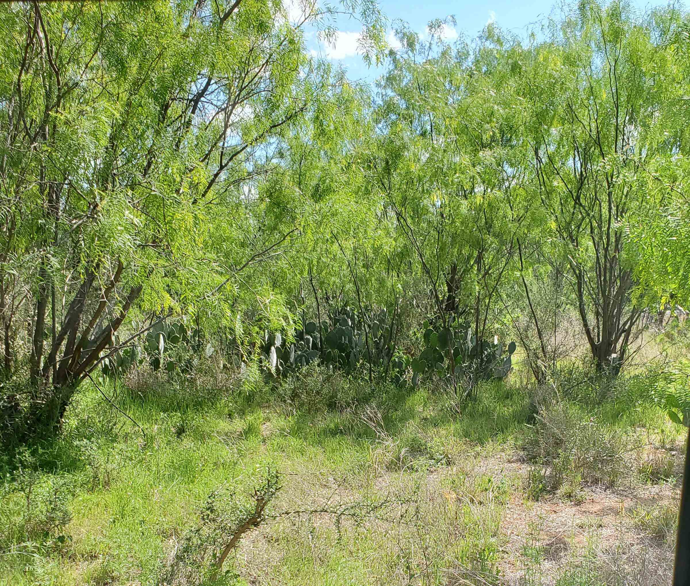 Lot 303 Driftwood Drive Granite Shoals TX 78654