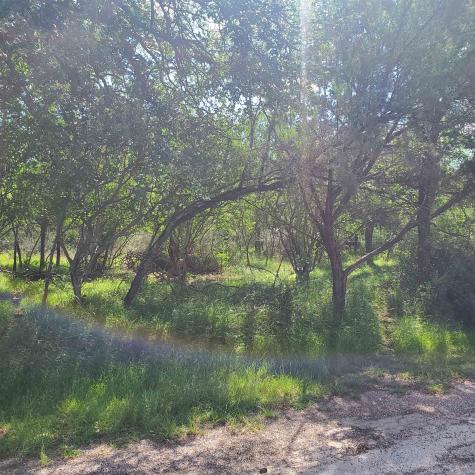 Lot 303 Driftwood Drive Granite Shoals TX 78654
