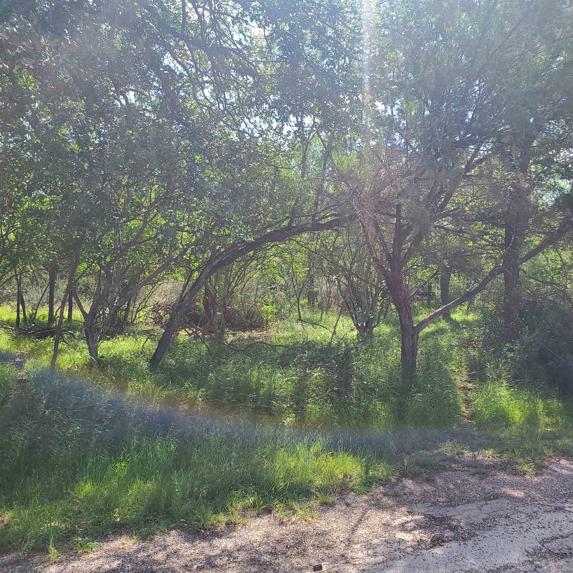 Lot 303 Driftwood Drive Granite Shoals TX 78654