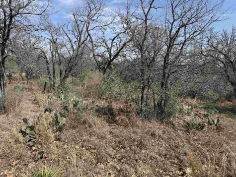 Lot 300-304 Link/pinemont Drive Kingsland TX 78639