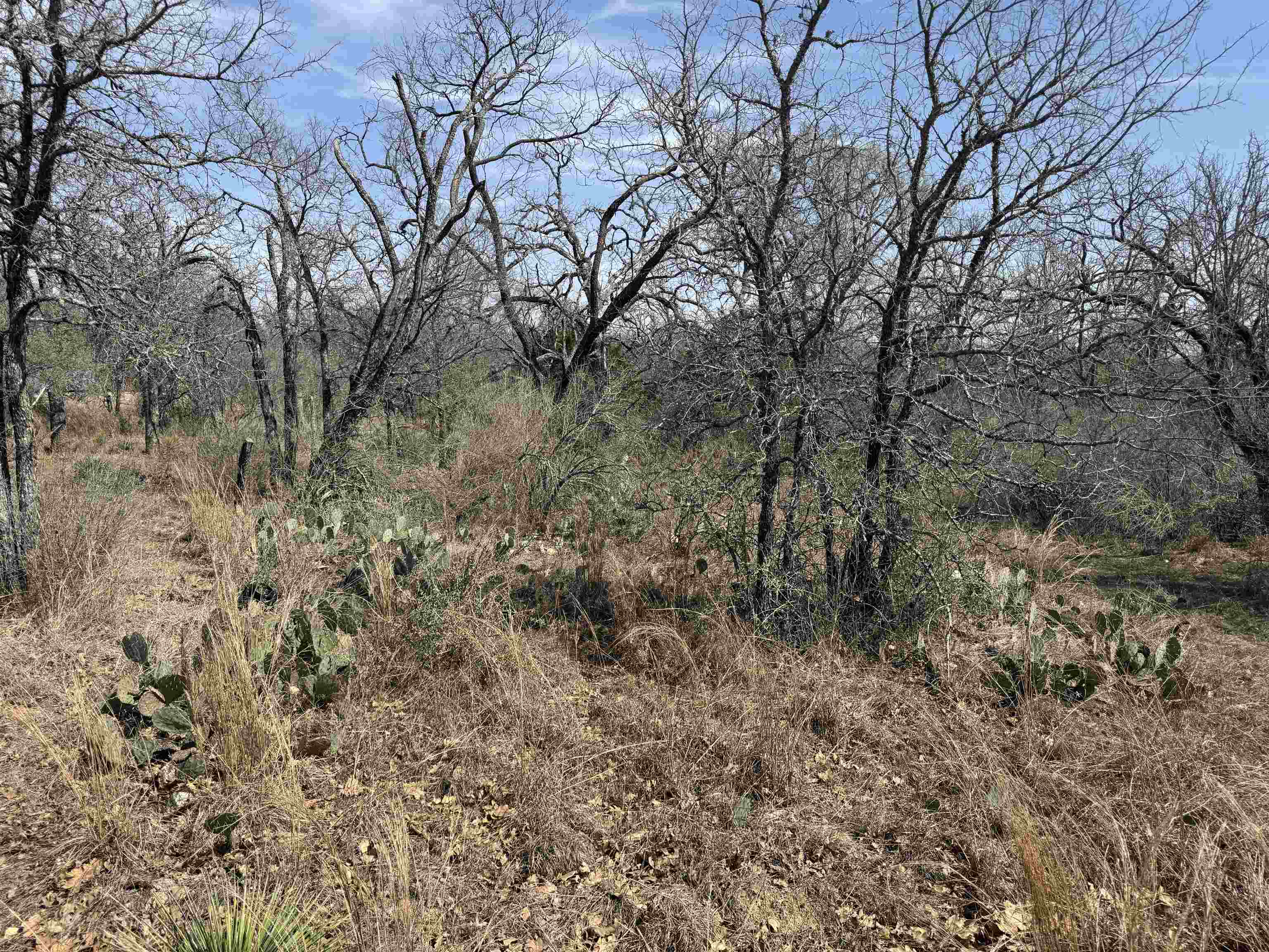 Lot 300-304 Link/pinemont Drive Kingsland TX 78639