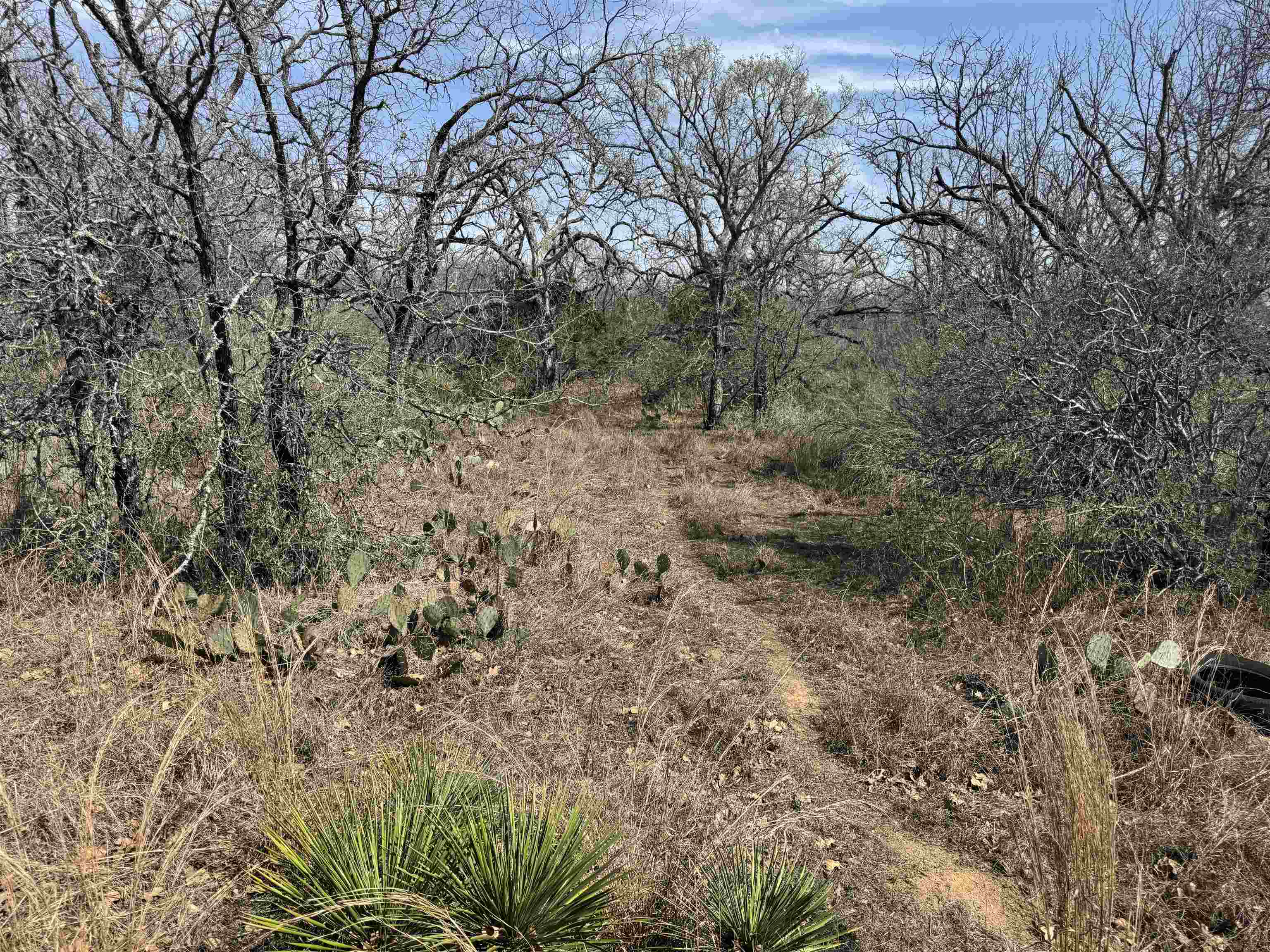 Lot 300-304 Link/pinemont Drive Kingsland TX 78639