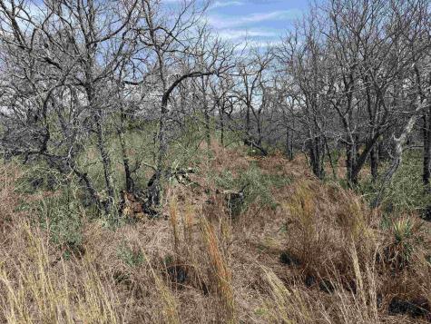 Lot 300-304 Link/pinemont Drive Kingsland TX 78639