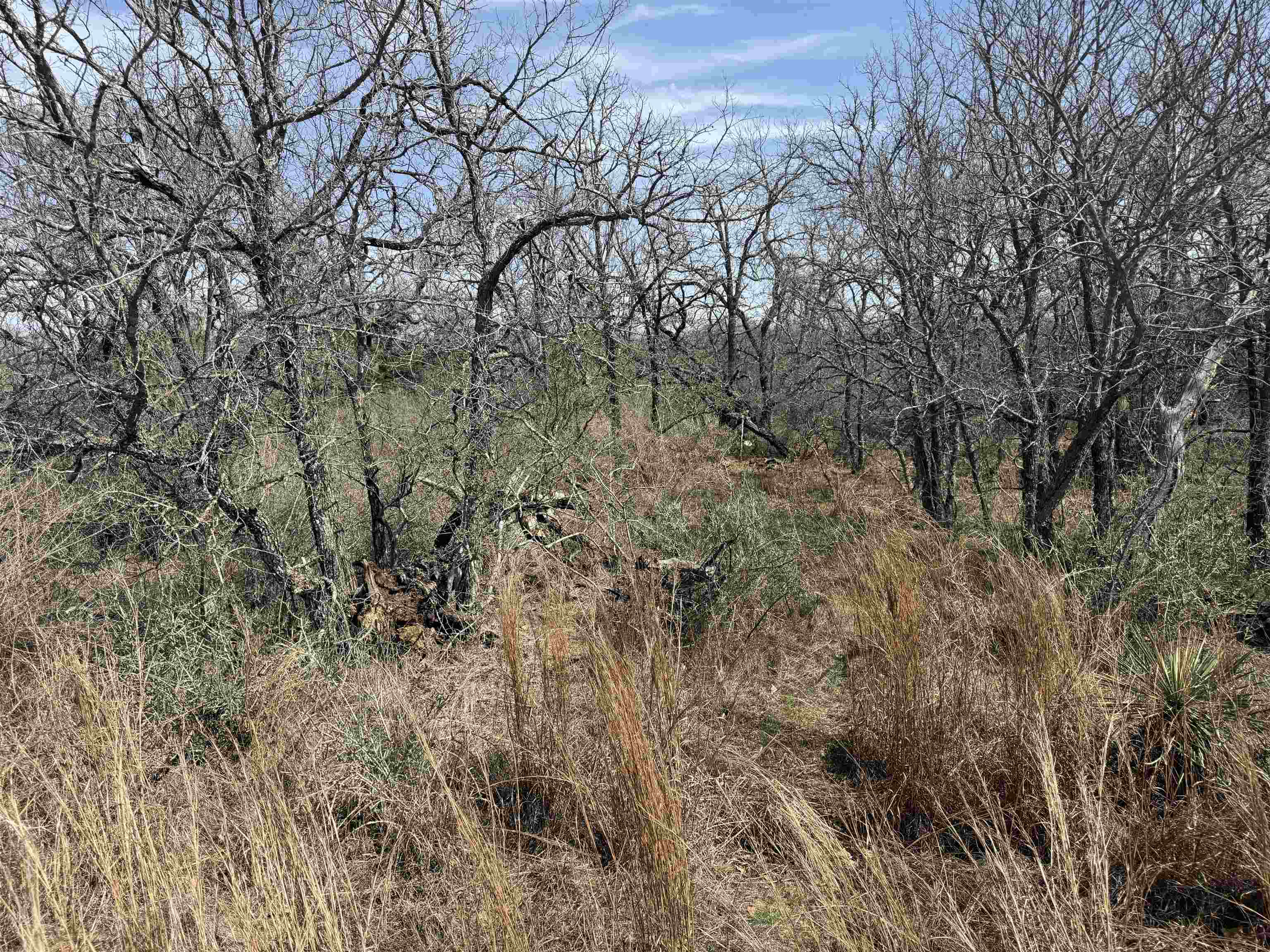 Lot 300-304 Link/pinemont Drive Kingsland TX 78639