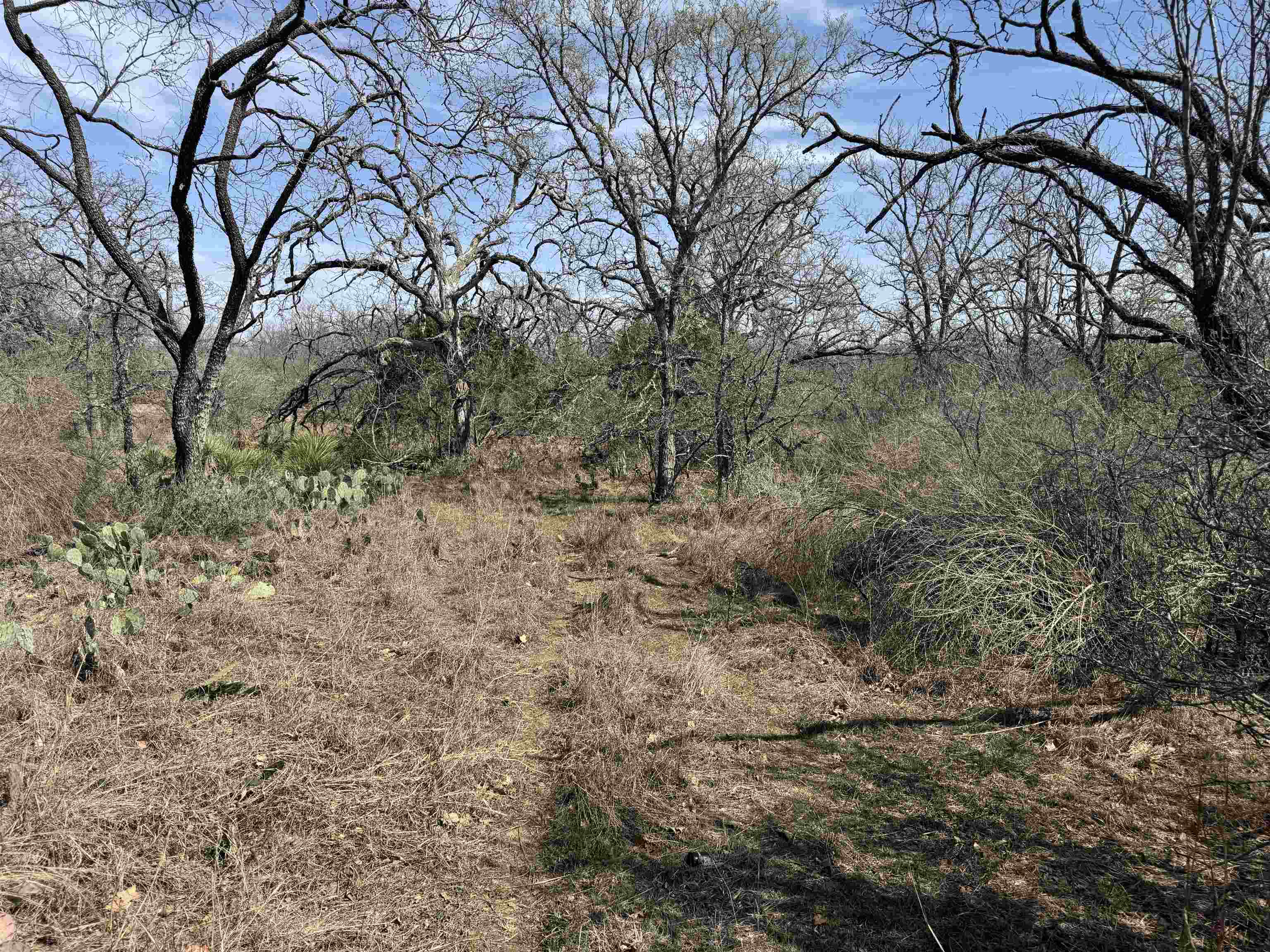 Lot 300-304 Link/pinemont Drive Kingsland TX 78639