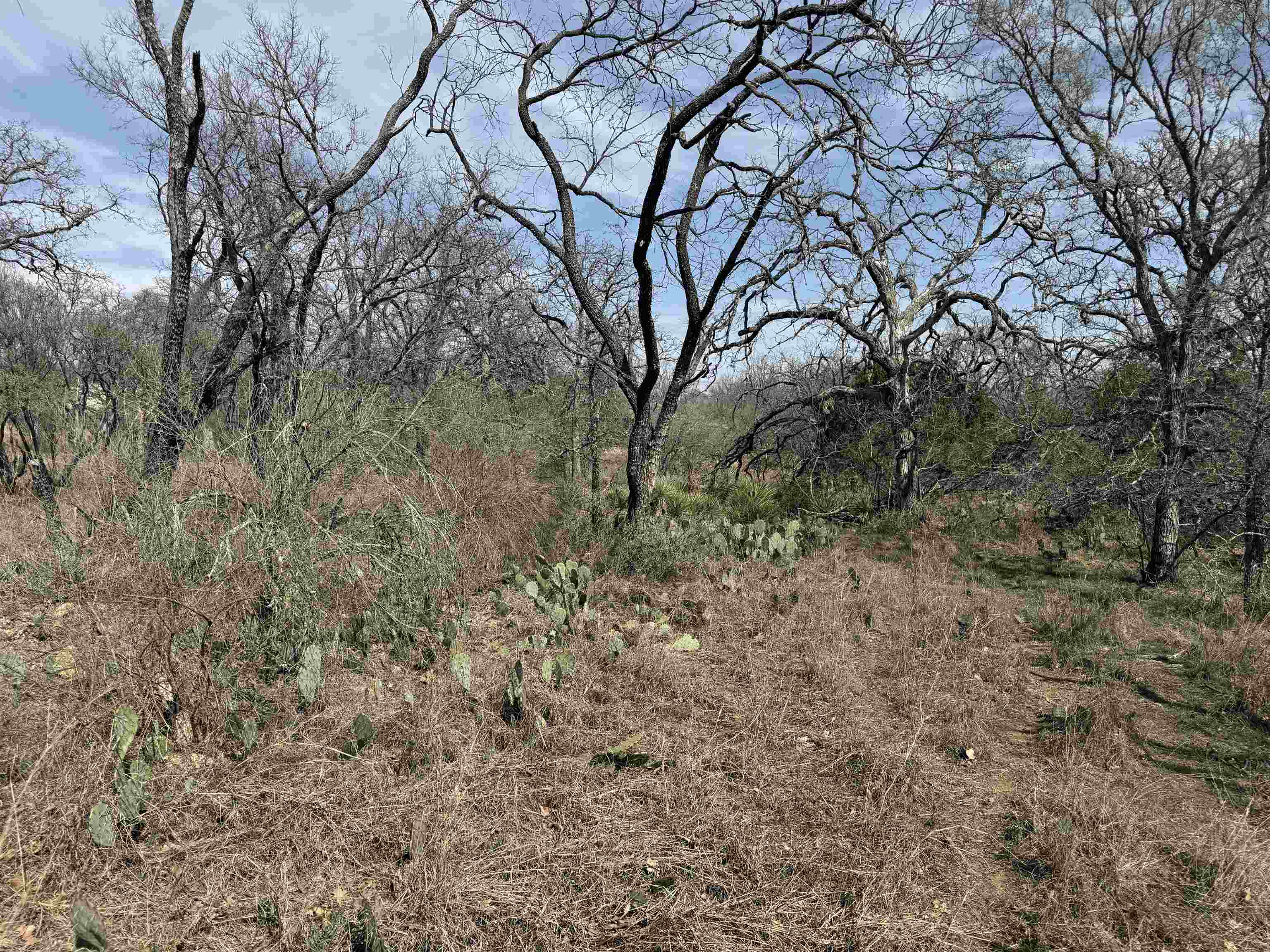 Lot 300-304 Link/pinemont Drive Kingsland TX 78639