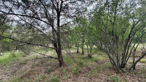 Lot 119 & 118 Ridgemont Kingsland TX 78639
