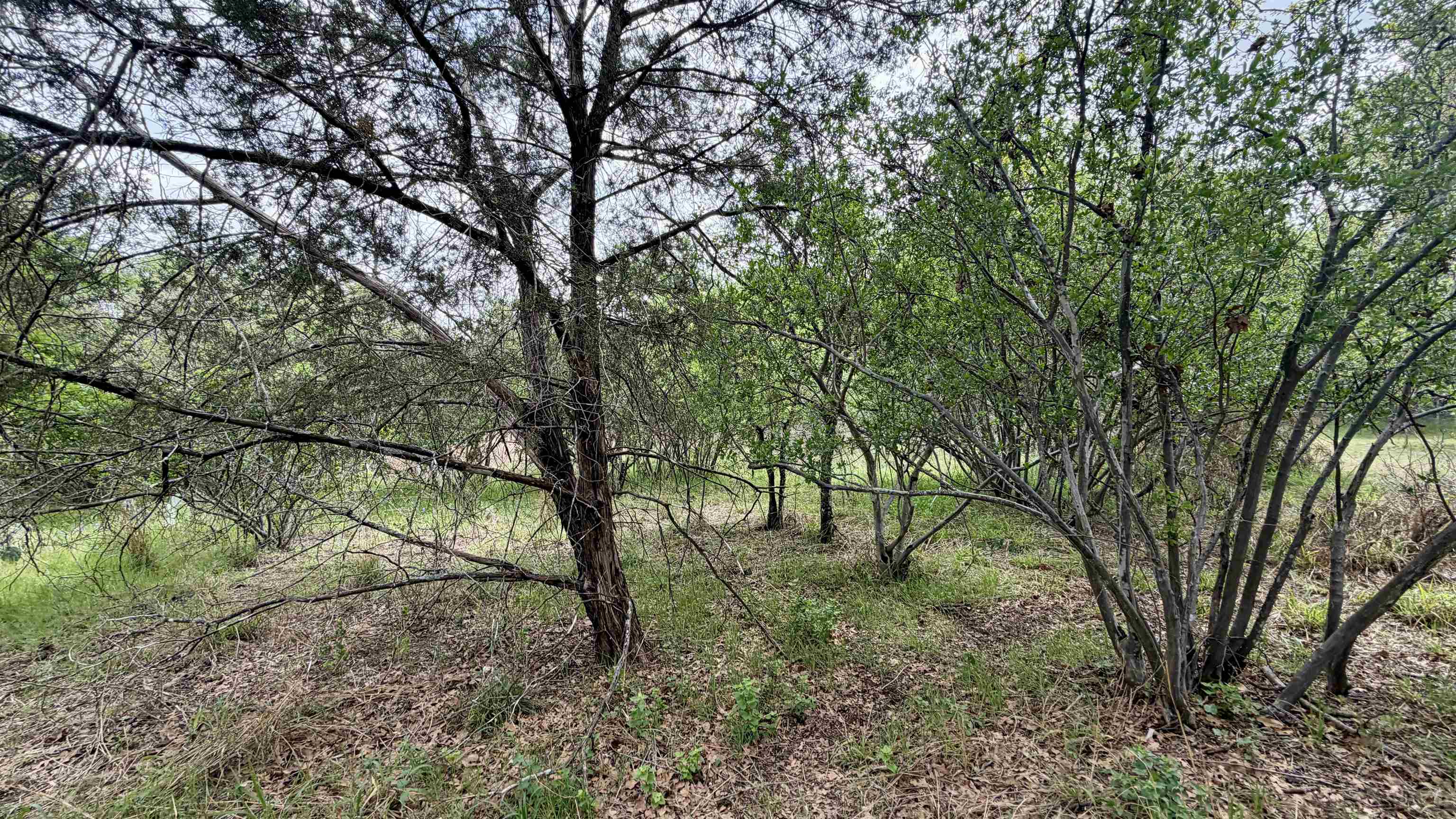 Lot 119 & 118 Ridgemont Kingsland TX 78639