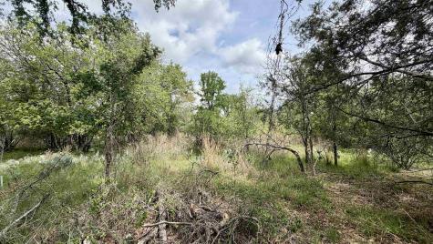 Lot 119 & 118 Ridgemont Kingsland TX 78639