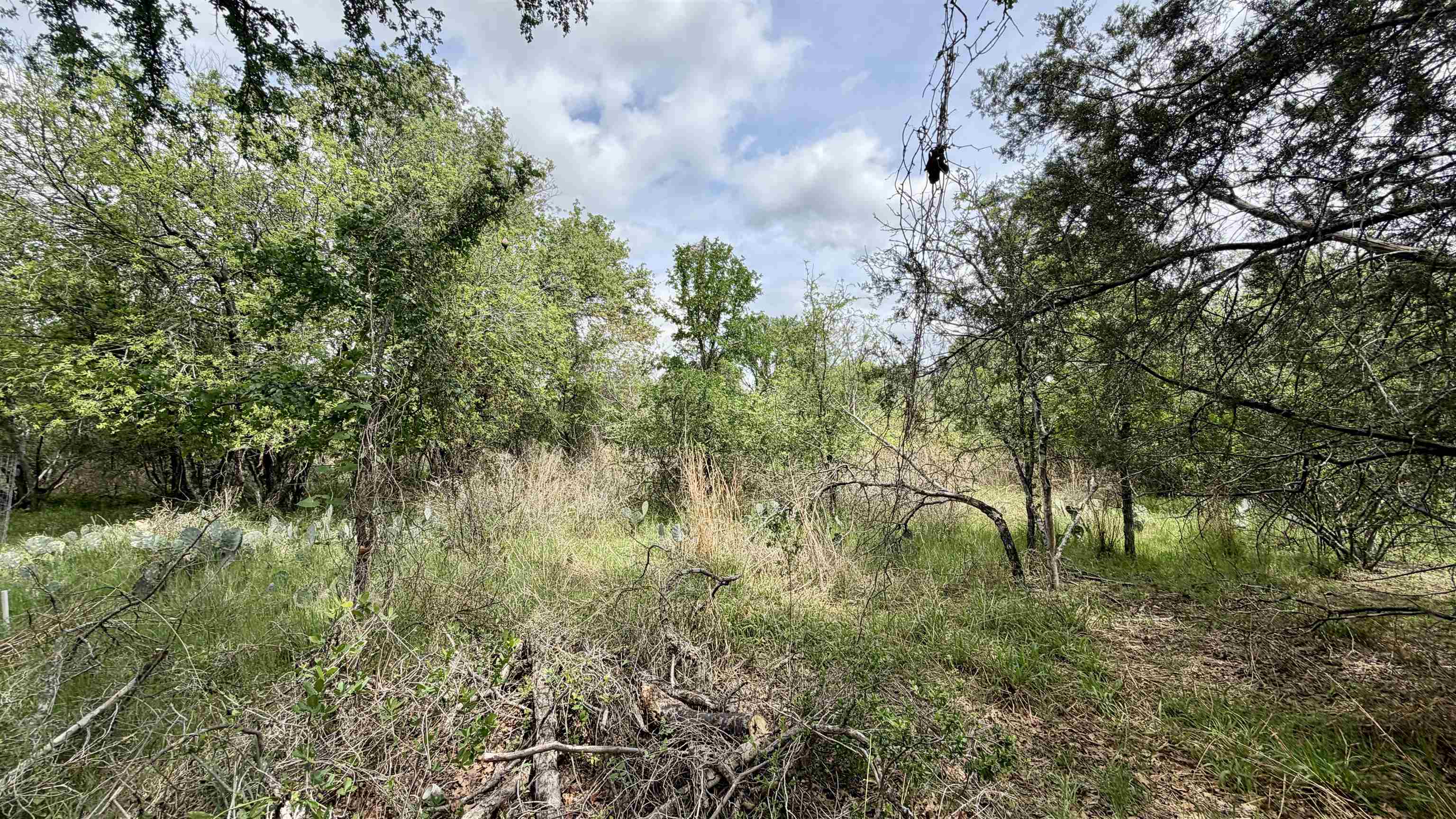 Lot 119 & 118 Ridgemont Kingsland TX 78639