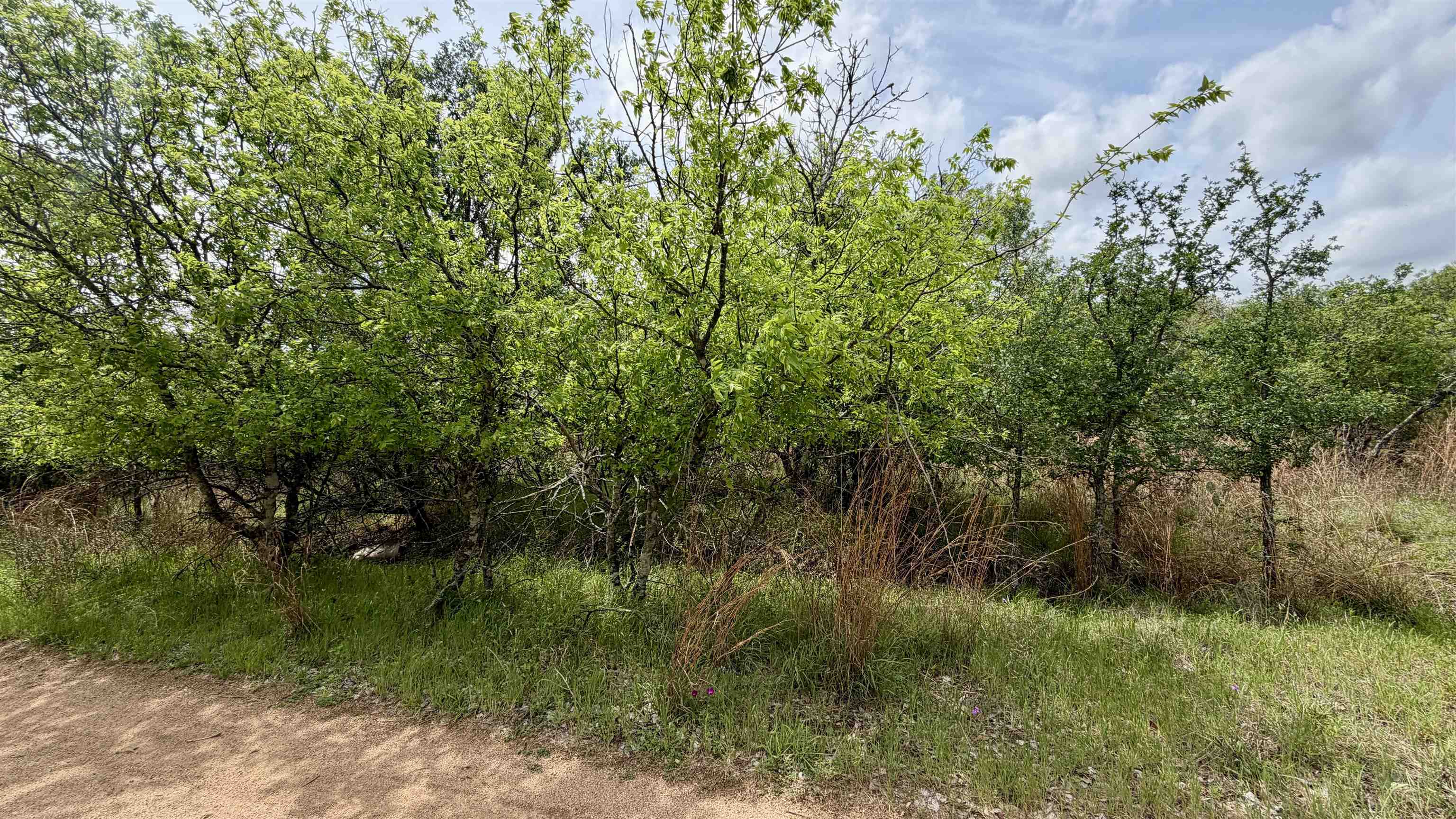 Lot 119 & 118 Ridgemont Kingsland TX 78639