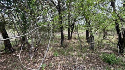 Lot 119 & 118 Ridgemont Kingsland TX 78639
