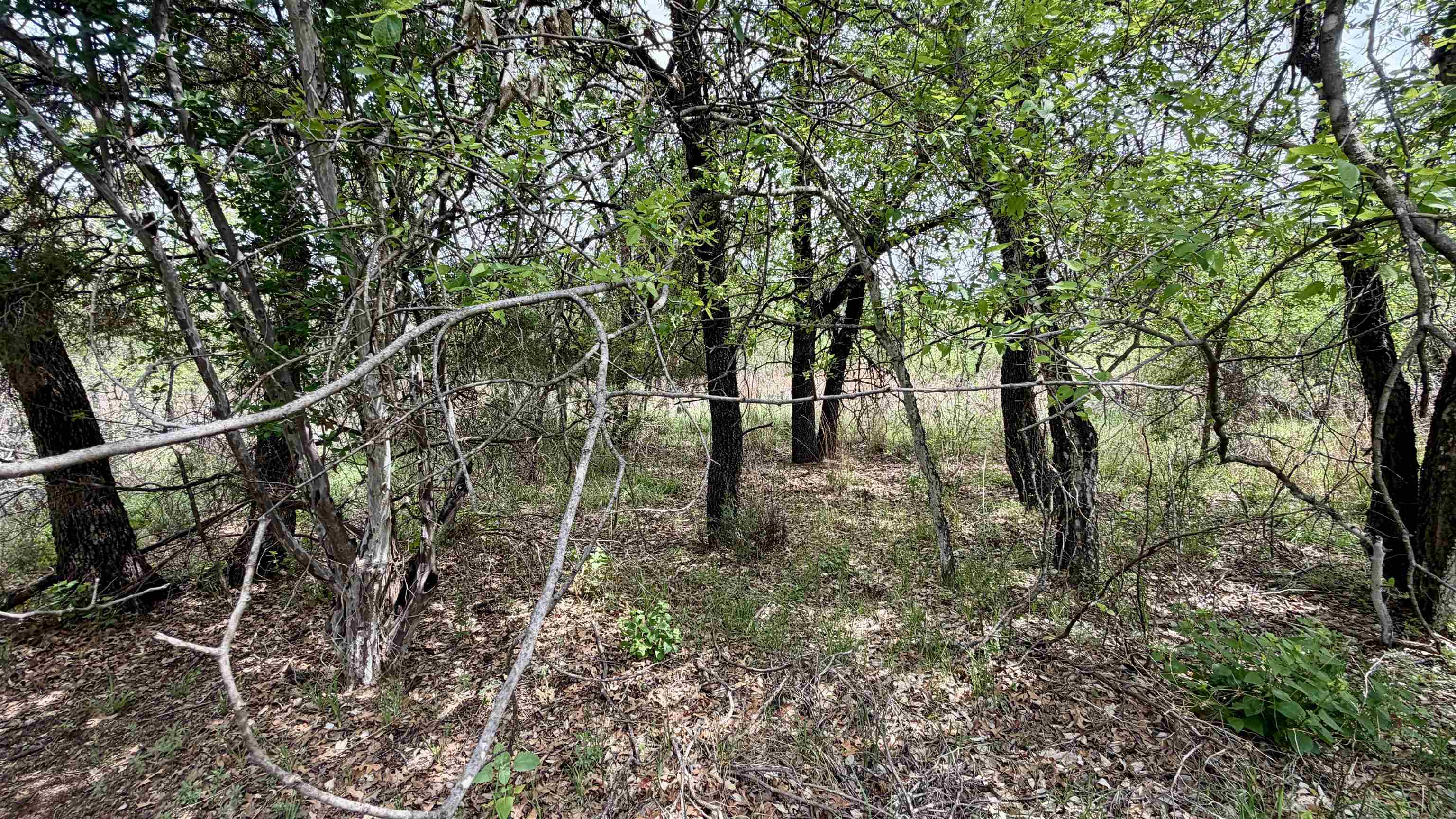 Lot 119 & 118 Ridgemont Kingsland TX 78639