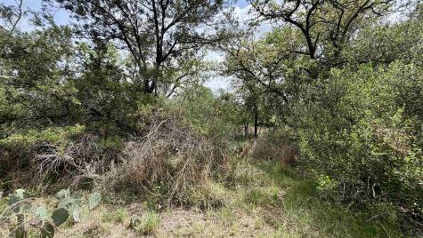 Lot 119 & 118 Ridgemont Kingsland TX 78639