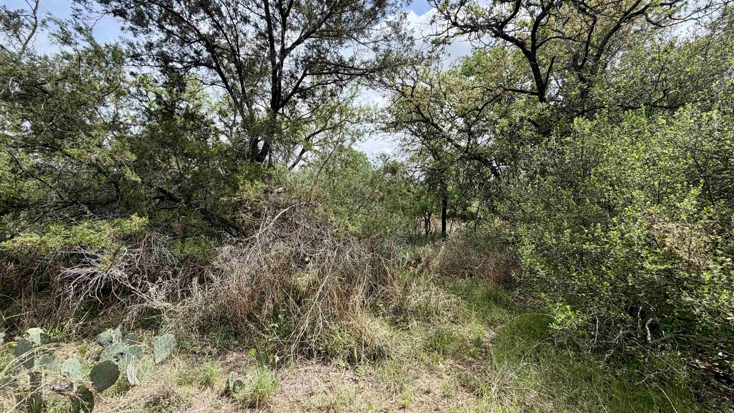 Lot 119 & 118 Ridgemont Kingsland TX 78639