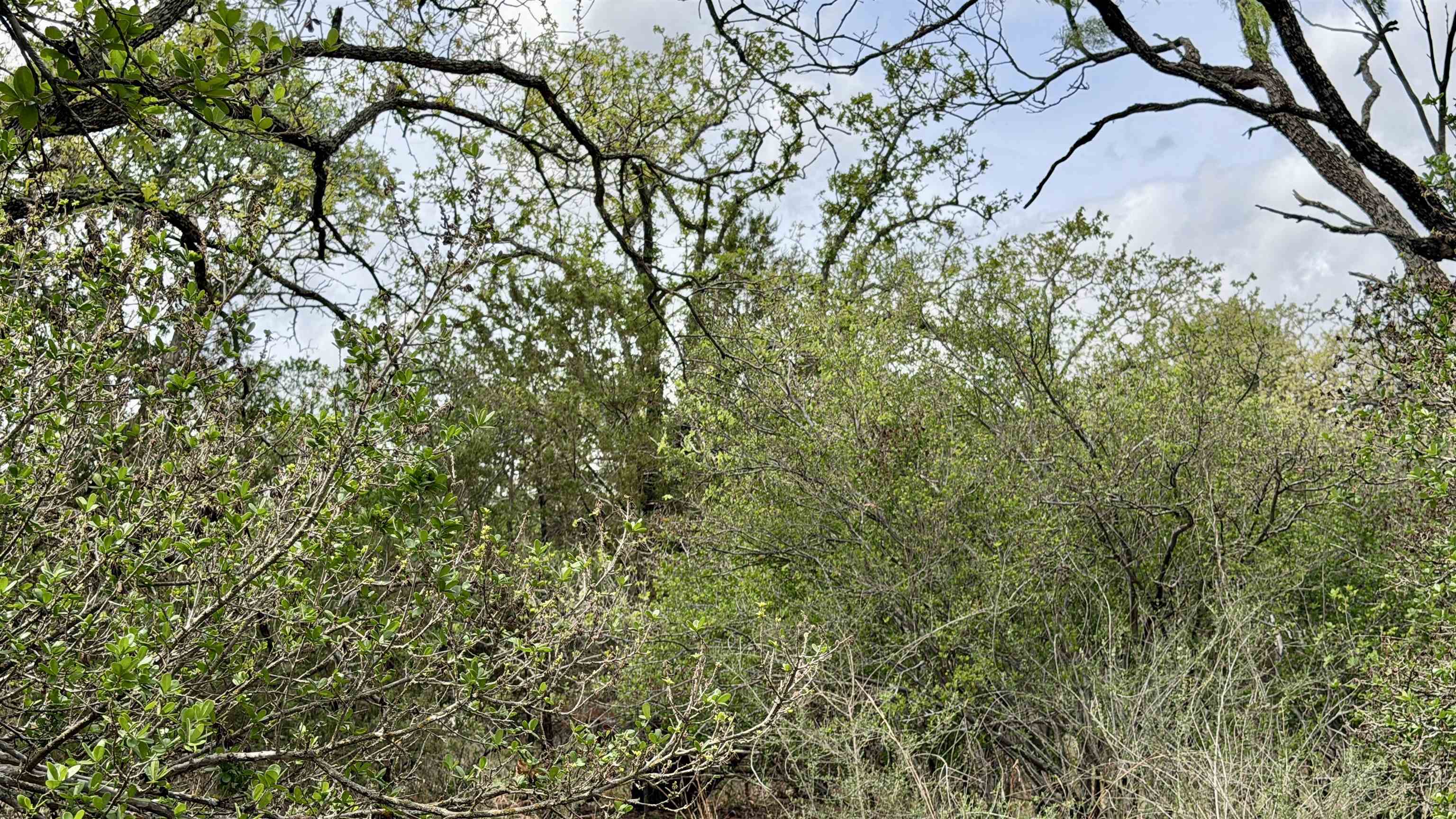 Lot 119 & 118 Ridgemont Kingsland TX 78639
