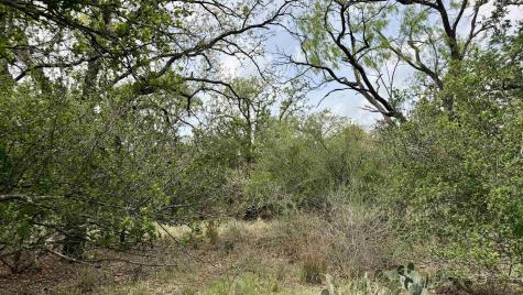 Lot 119 & 118 Ridgemont Kingsland TX 78639