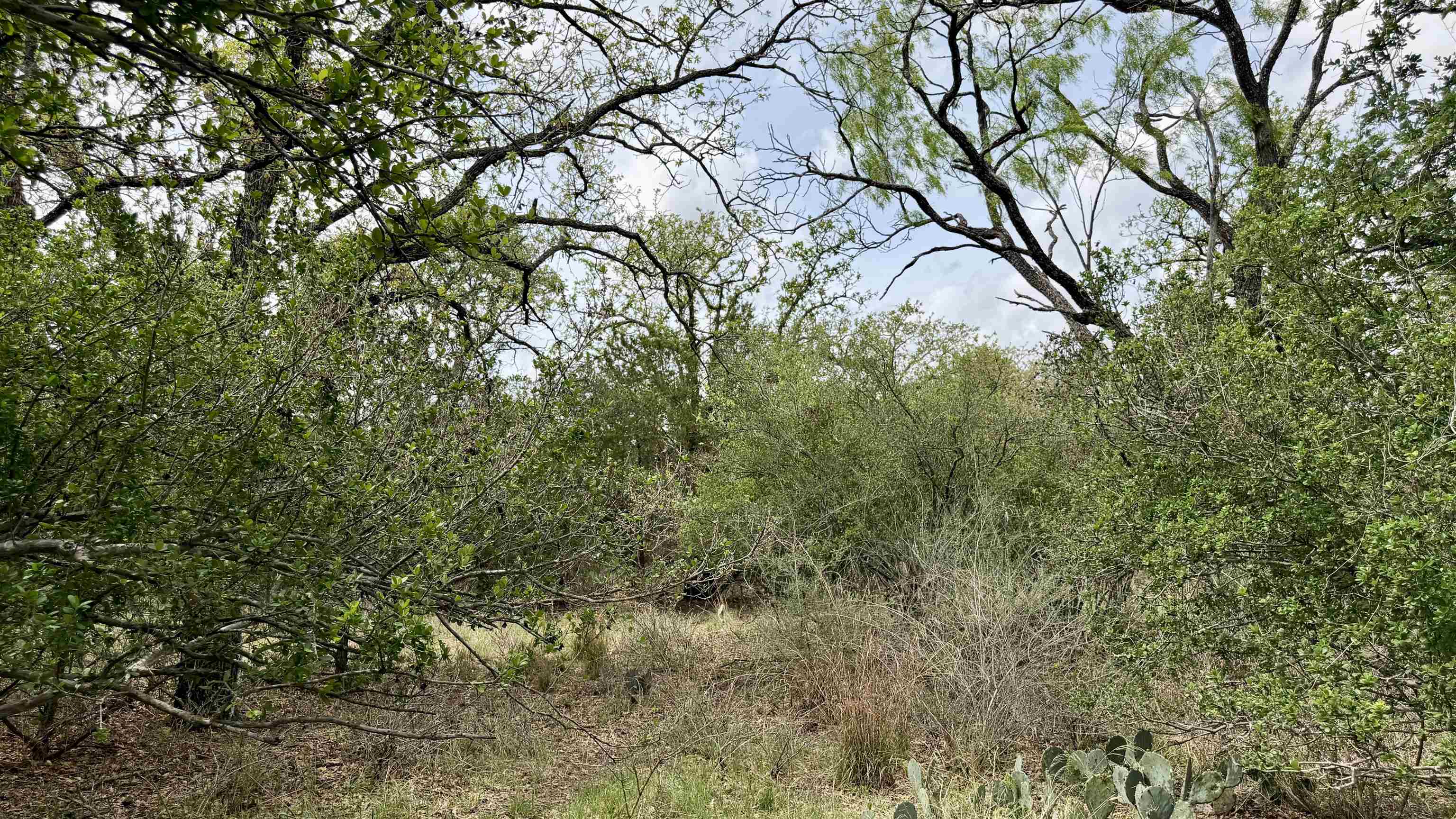 Lot 119 & 118 Ridgemont Kingsland TX 78639