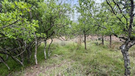 Lot 119 & 118 Ridgemont Kingsland TX 78639