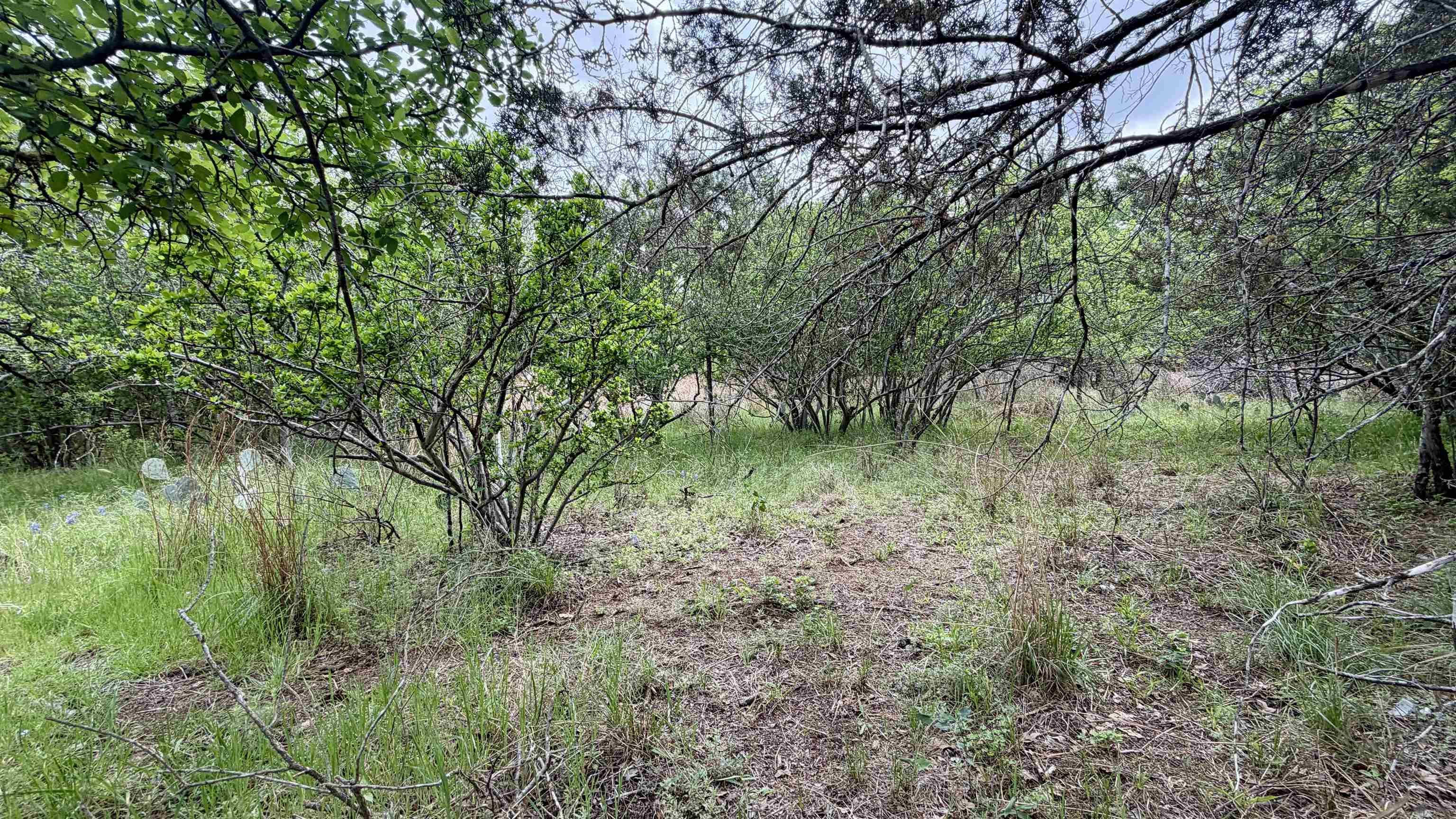 Lot 119 & 118 Ridgemont Kingsland TX 78639