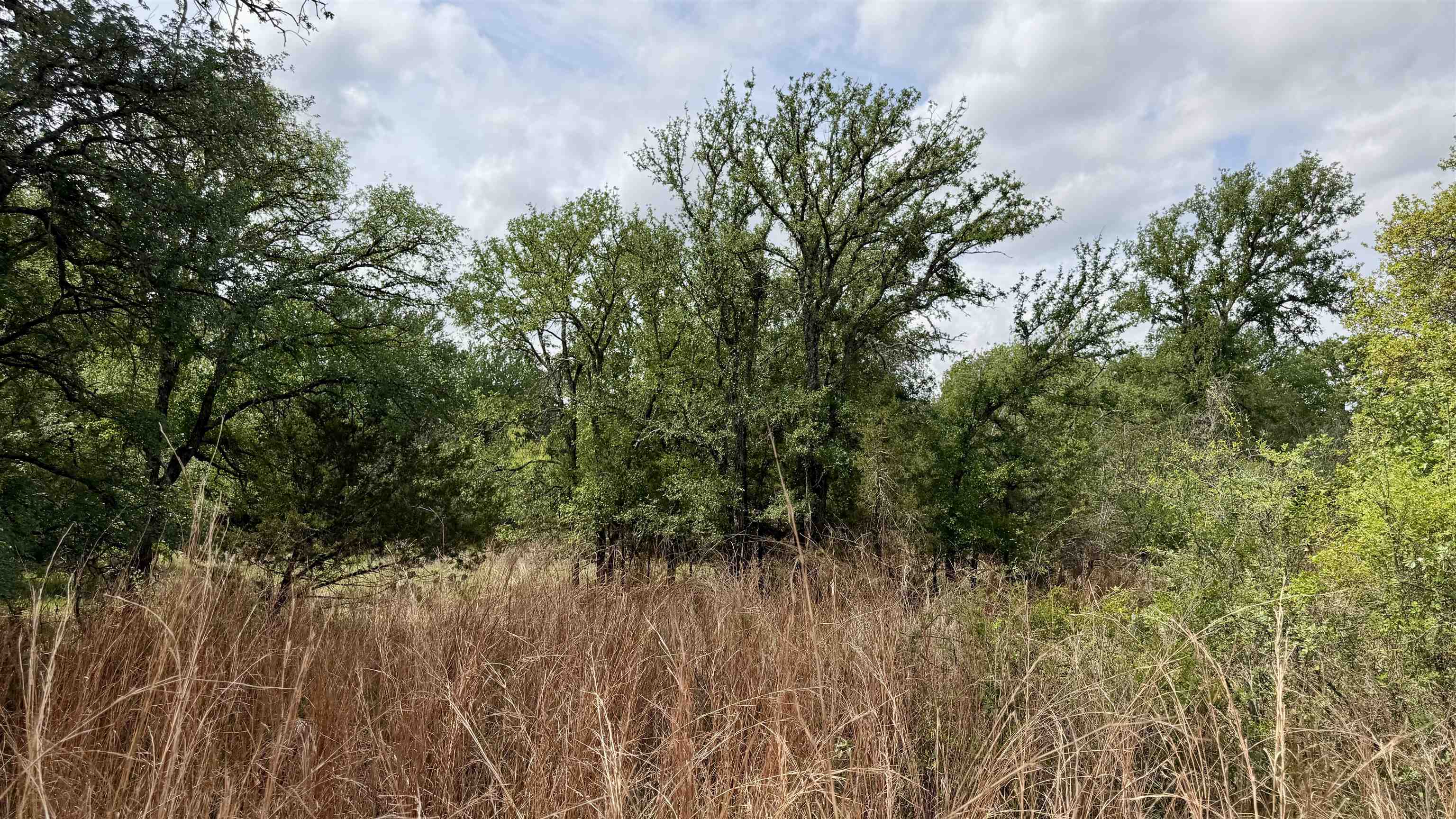 Lot 119 & 118 Ridgemont Kingsland TX 78639