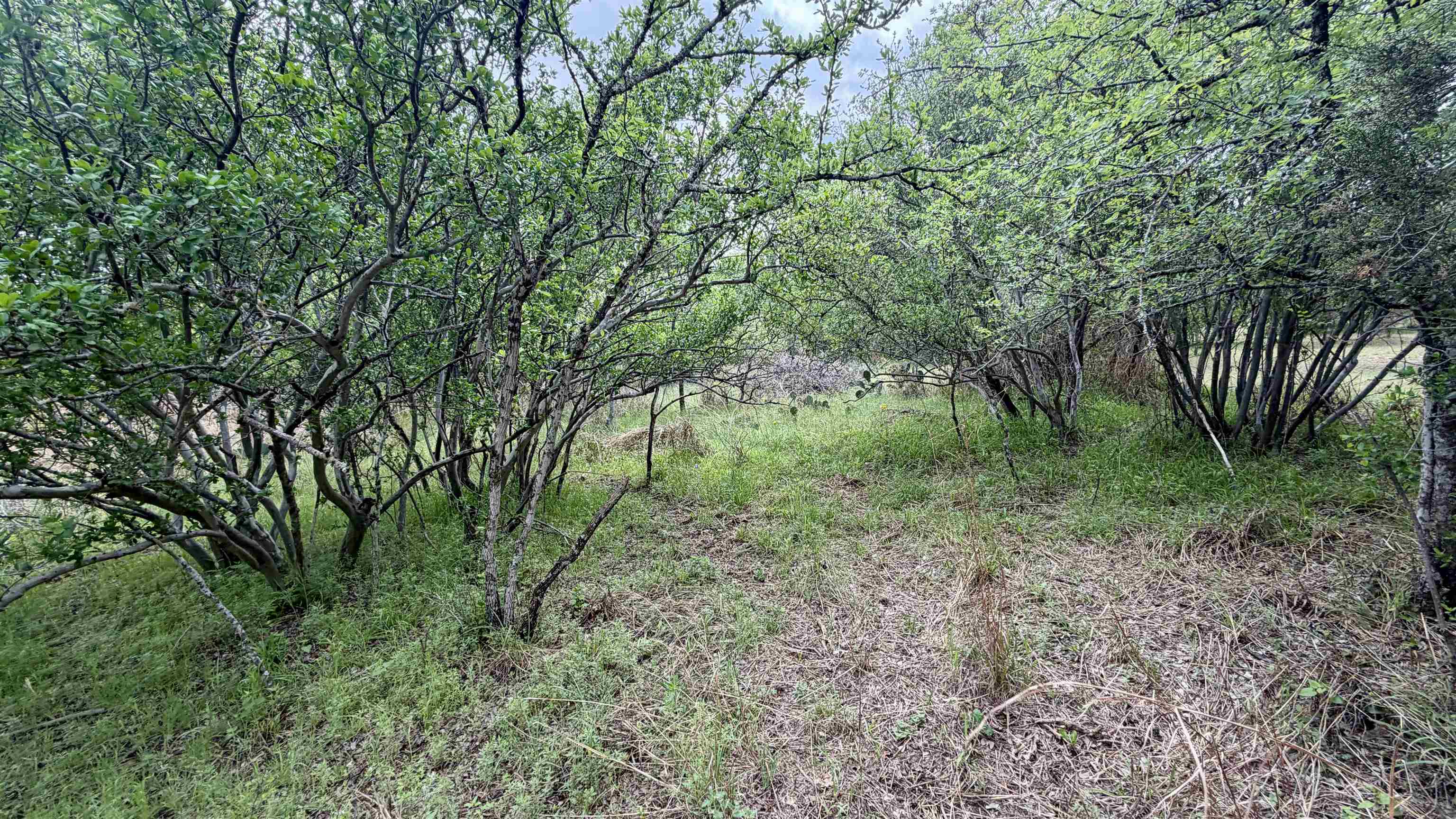 Lot 119 & 118 Ridgemont Kingsland TX 78639