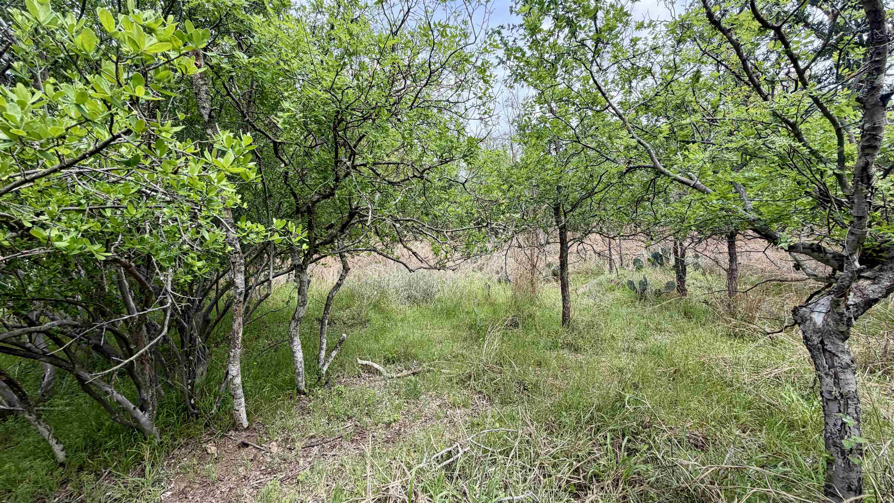 Lot 119 & 118 Ridgemont Kingsland TX 78639