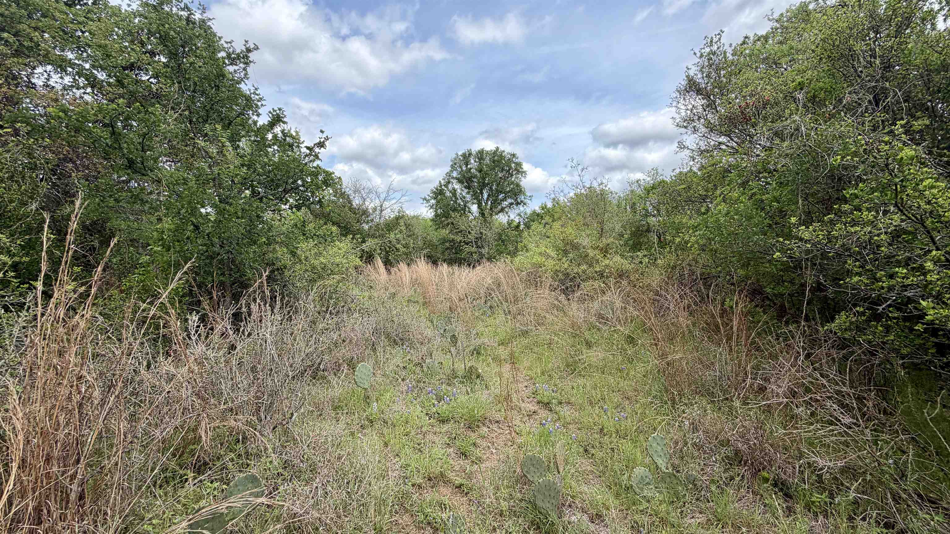 Lot 119 & 118 Ridgemont Kingsland TX 78639