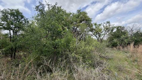 Lot 119 & 118 Ridgemont Kingsland TX 78639
