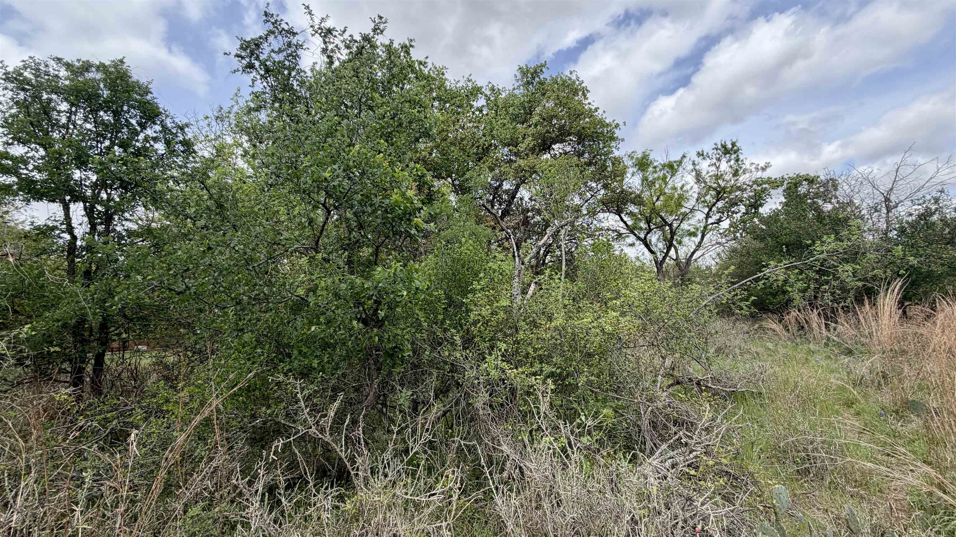 Lot 119 & 118 Ridgemont Kingsland TX 78639