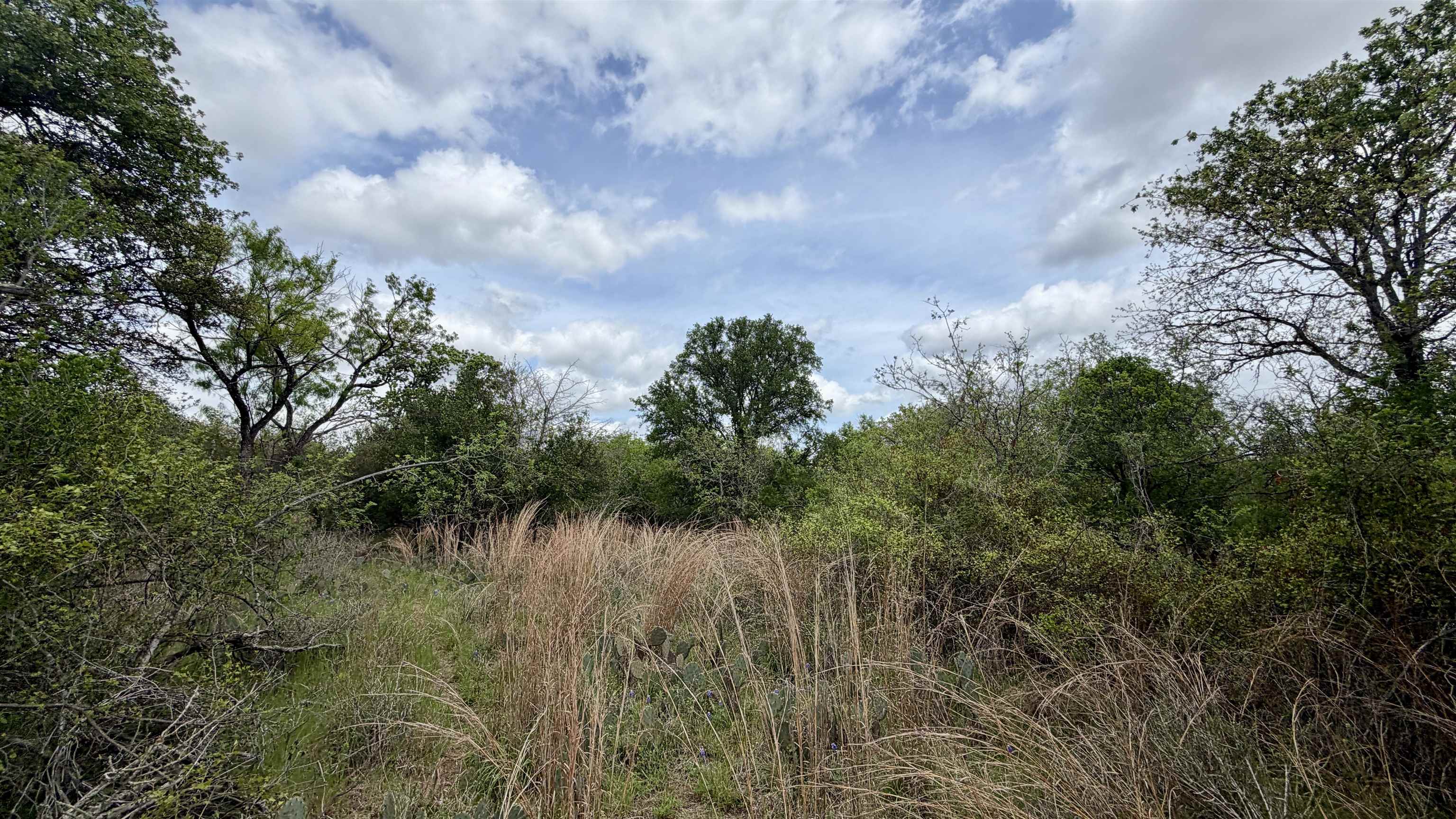 Lot 119 & 118 Ridgemont Kingsland TX 78639