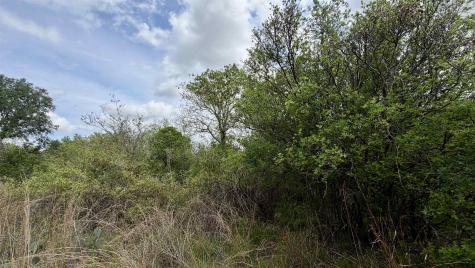 Lot 119 & 118 Ridgemont Kingsland TX 78639