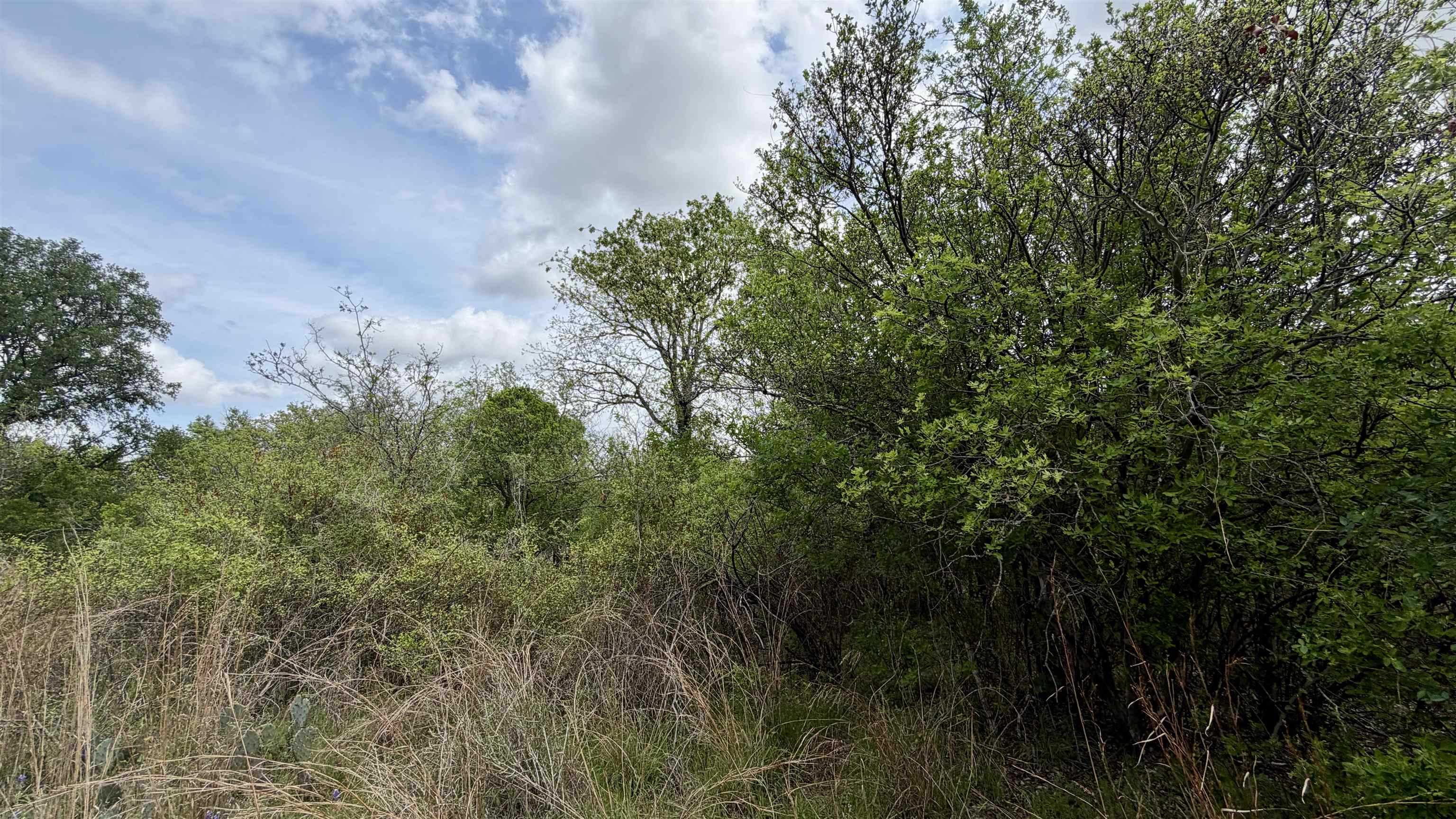 Lot 119 & 118 Ridgemont Kingsland TX 78639