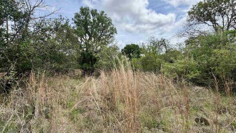 Lot 119 & 118 Ridgemont Kingsland TX 78639