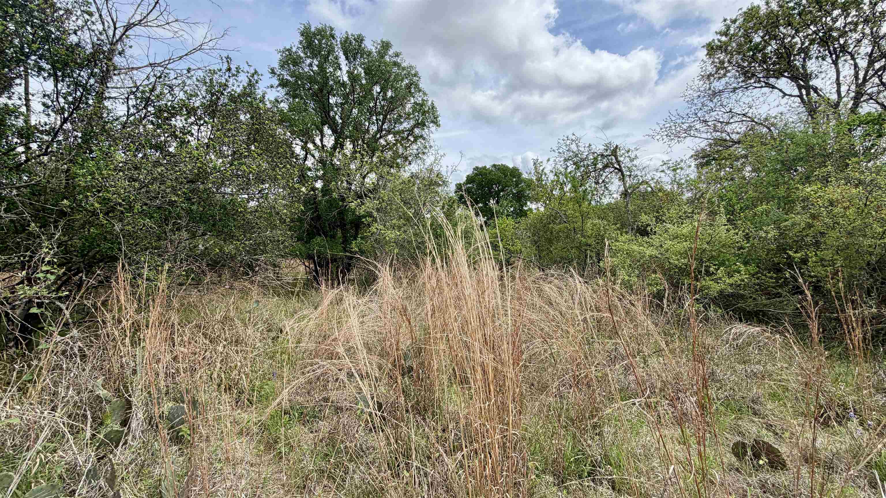 Lot 119 & 118 Ridgemont Kingsland TX 78639