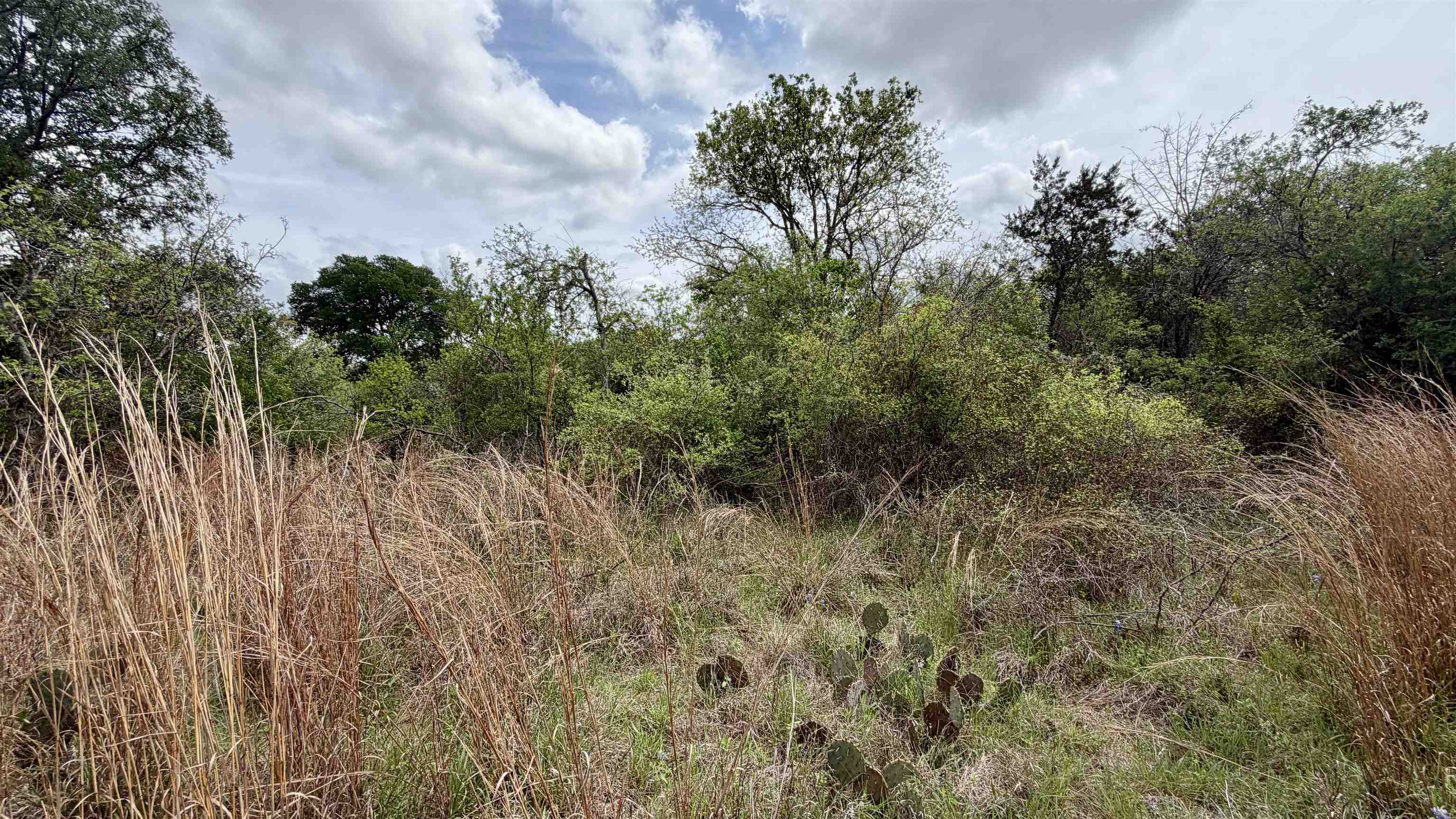 Lot 119 & 118 Ridgemont Kingsland TX 78639