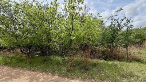 Lot 119 & 118 Ridgemont Kingsland TX 78639