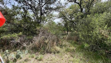 Lot 119 & 118 Ridgemont Kingsland TX 78639