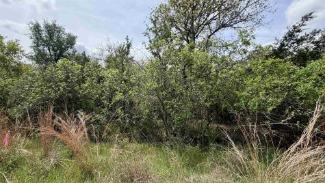 Lot 119 & 118 Ridgemont Kingsland TX 78639