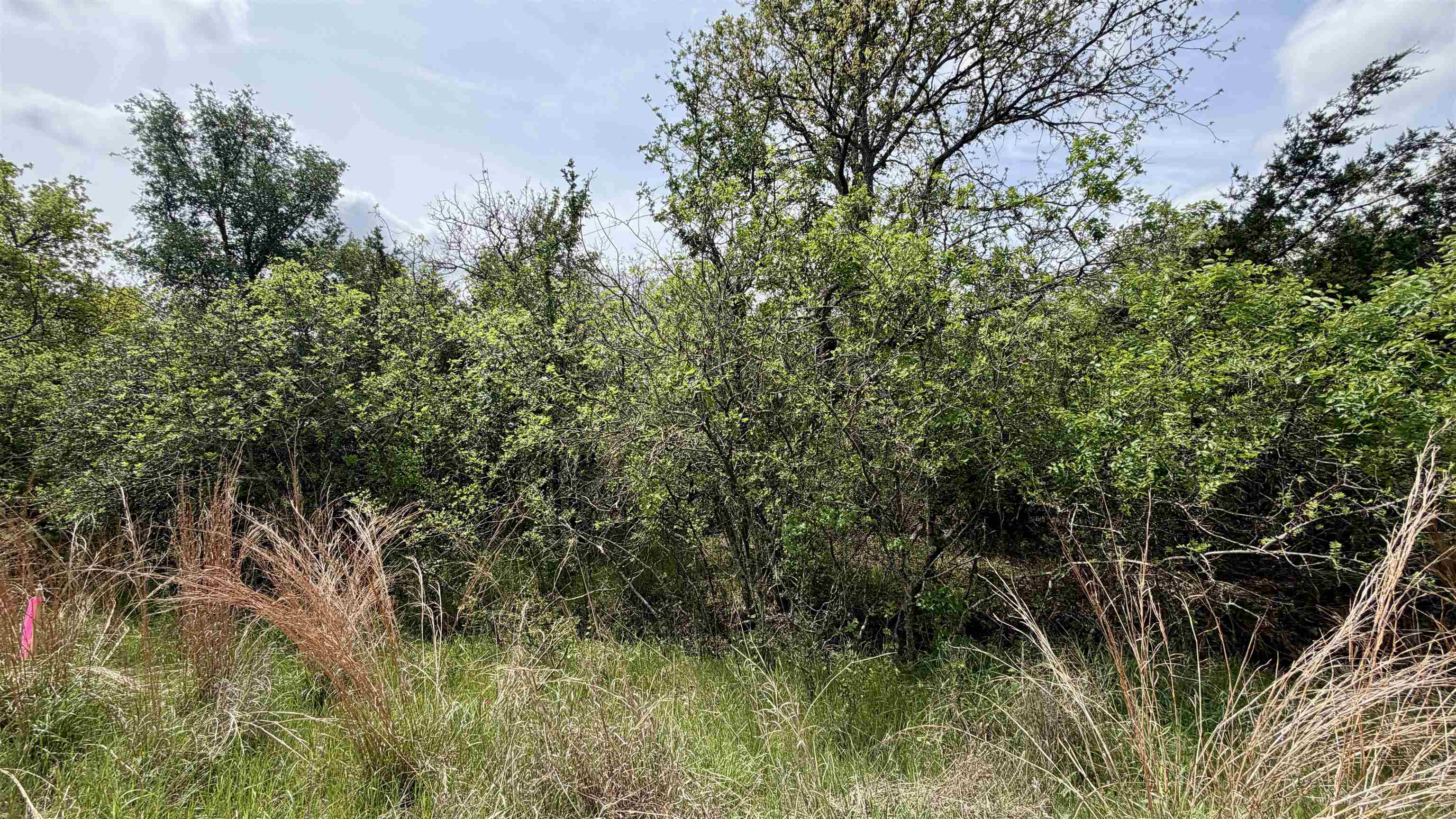 Lot 119 & 118 Ridgemont Kingsland TX 78639
