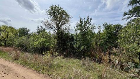 Lot 119 & 118 Ridgemont Kingsland TX 78639