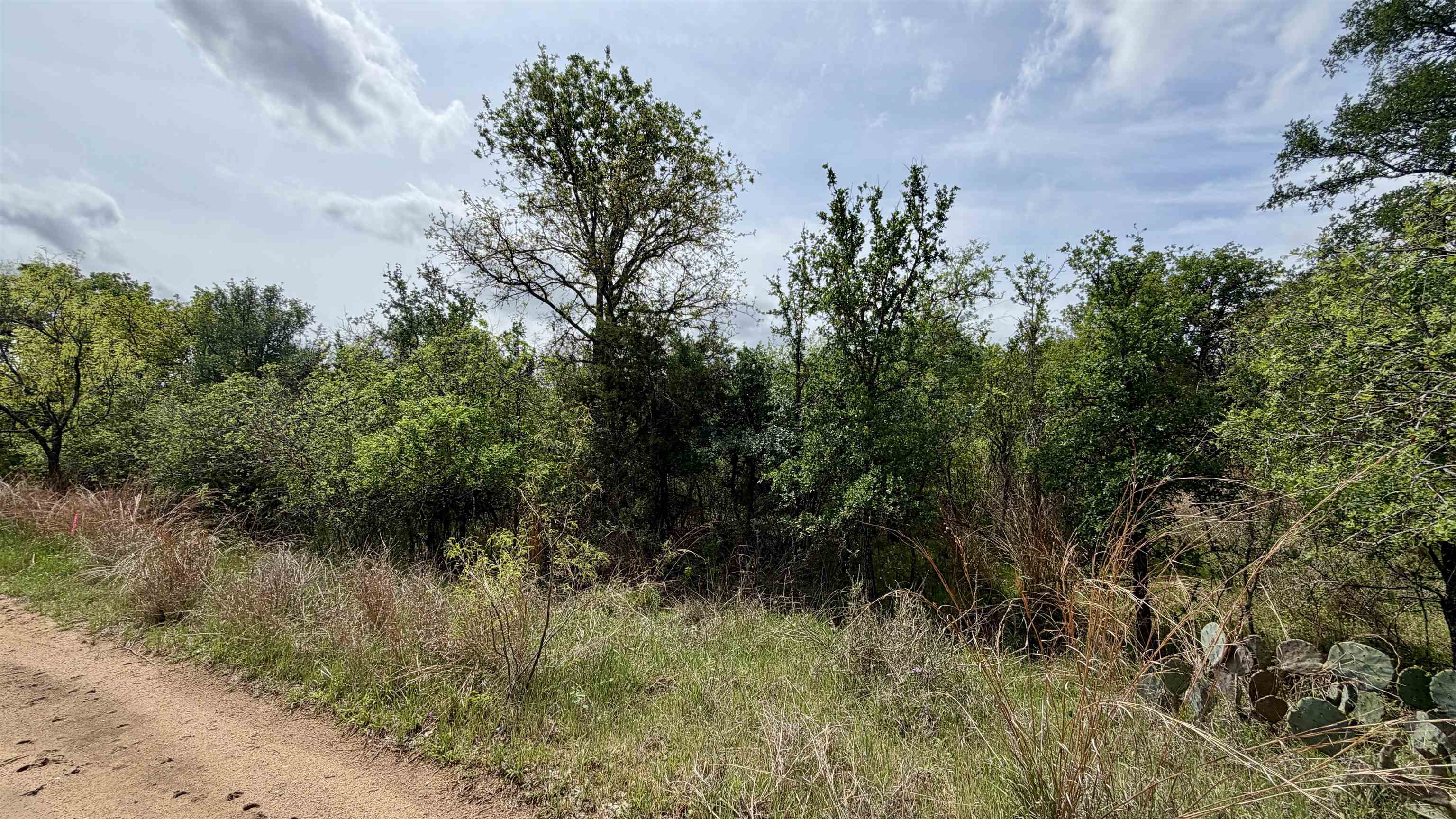 Lot 119 & 118 Ridgemont Kingsland TX 78639