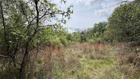 Lot 119 & 118 Ridgemont Kingsland TX 78639
