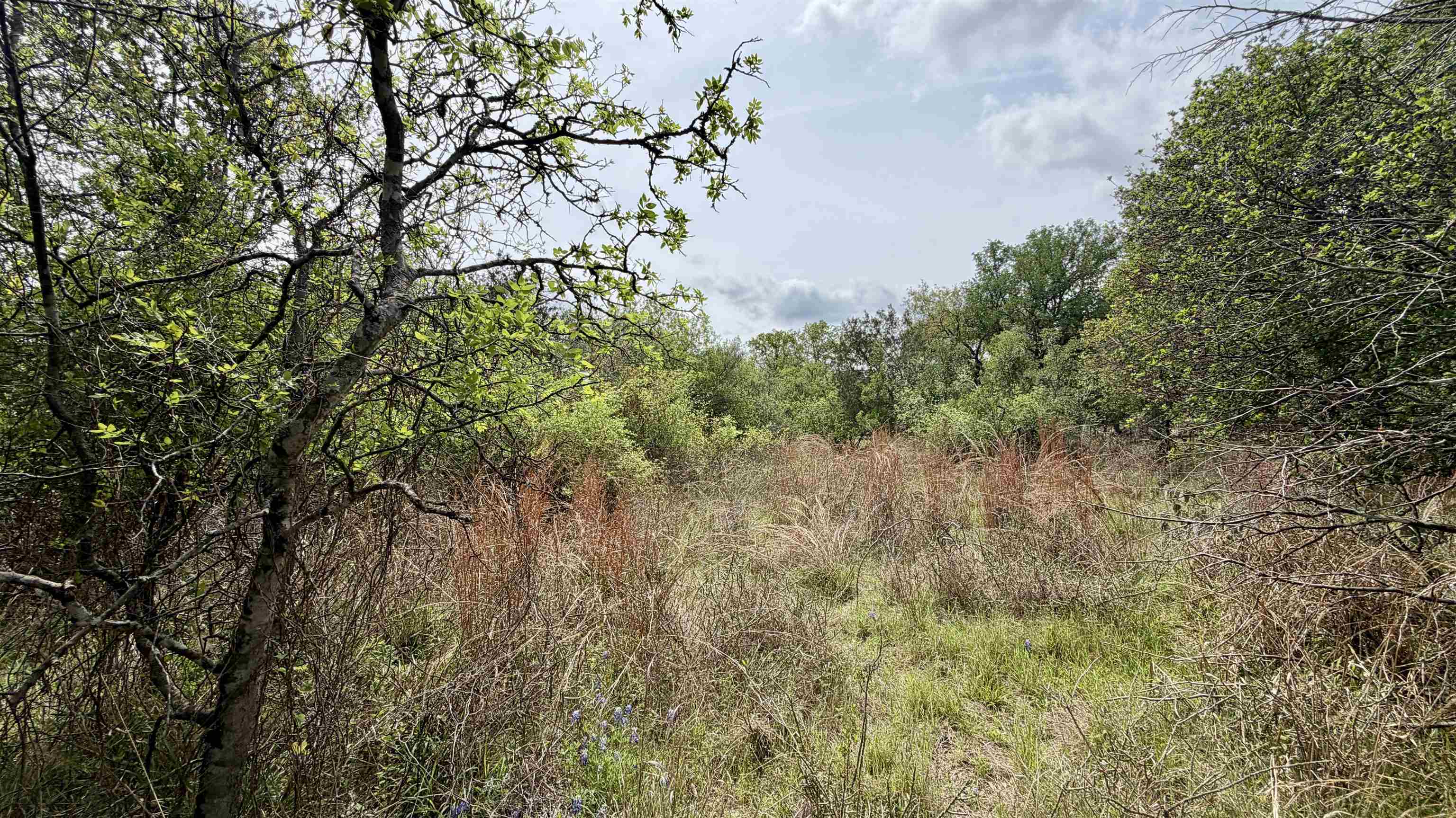 Lot 119 & 118 Ridgemont Kingsland TX 78639