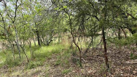 Lot 119 & 118 Ridgemont Kingsland TX 78639