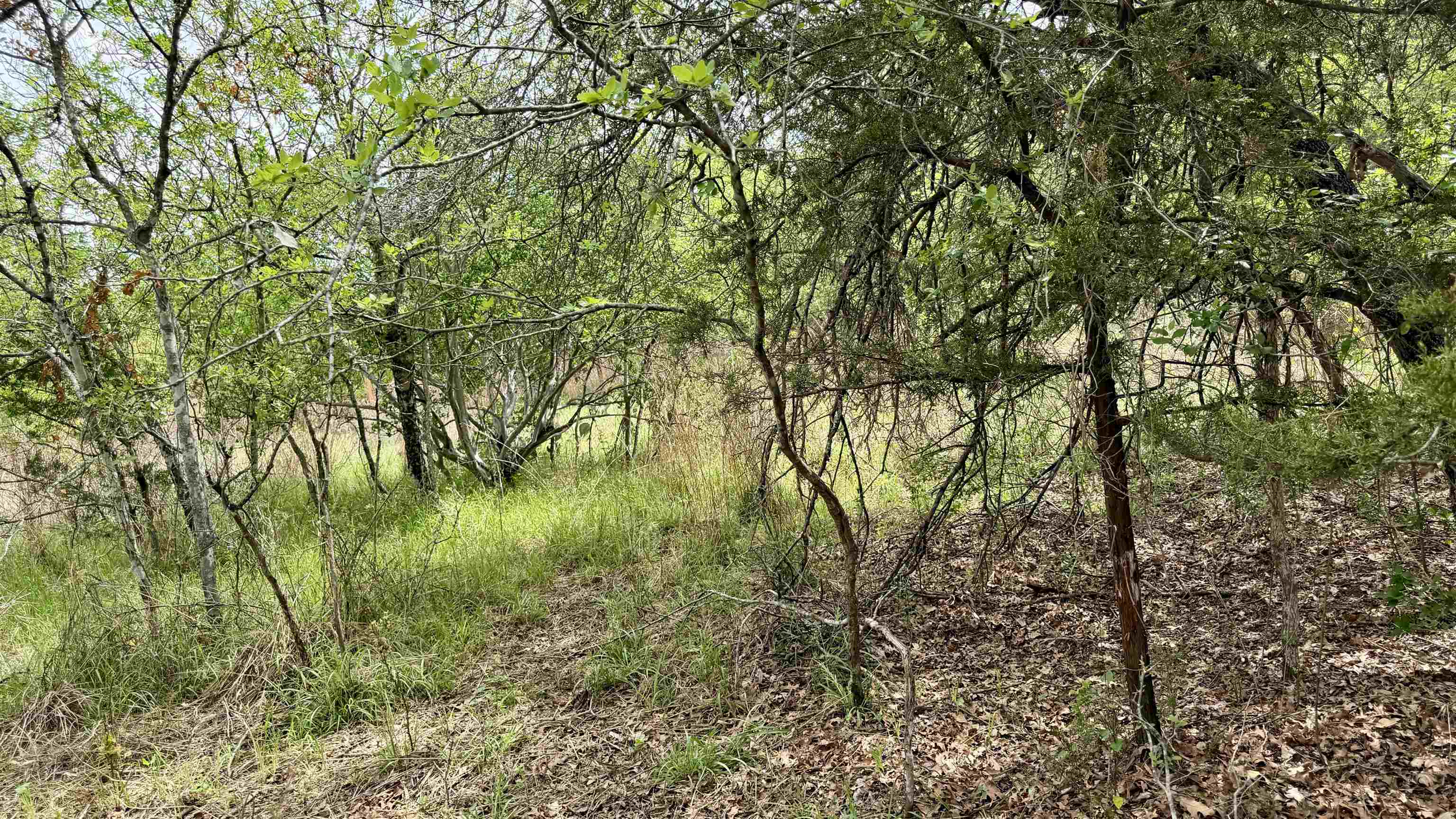 Lot 119 & 118 Ridgemont Kingsland TX 78639