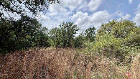 Lot 119 & 118 Ridgemont Kingsland TX 78639